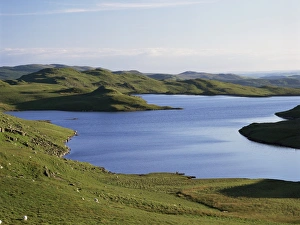 United Kingdom Outdoor Photography Drucke: Llyn Teifi
