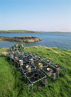 Drucke von Krabbenkörbe aus Roaring Water Bay im Grafschaften von Munster in der Republik Irland Kork Drucke: Krabbenkörbe