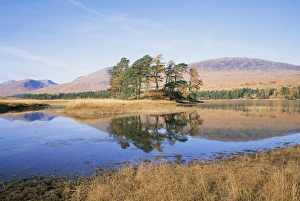 Loch Tulla Scotland Drucke: Loch Tulla