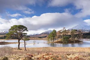 UK Travel Destination Drucke: Loch Tulla, Bridge of Orchy, Glencoe, Argyll and Bute, Scotland, United Kingdom, Europe