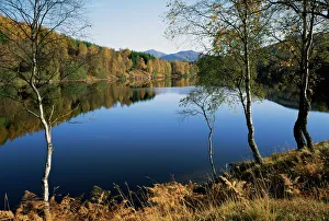 Drucke von Loch Tummel liegt nahe von Pitlochry in der Region Tayside im Vereinigten Königreich Großbritannien und Europa See Drucke: Loch Tummel ist ein See im schottischen Nationalpark Loch Lomond und The Trossachs in Schottland