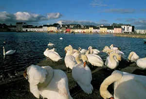 Blick vom Long-Walk aus der Claddagh Quay