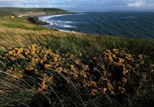 Devon Drucke: Über Blick von Baggy Point aus auf die Croyde-Bay in Norddevon im Vereinigten Königreich Großbritannien Europa