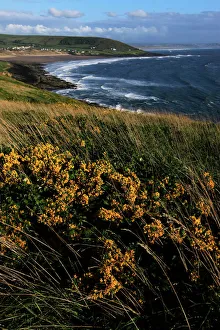Devon Drucke: Aus dem Blick aus der Nähe von Baggy Point in Norden Devons auf die Küste Englands im Vereinigten Königreich Europa
