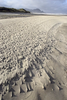 Pebble Beach Landscape Drucke: Looking along a windswept pebbly beach with sand trails