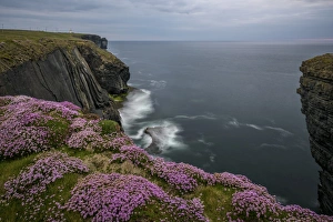 Drucke von Lümpunkt Kopf , Grafschaft Clare , Munster , Republik Irland , Europa Bilder Datiert 2016 Mai: Schleifkopf , Grafschaft Clare , Munster , Republik Irland , Europa