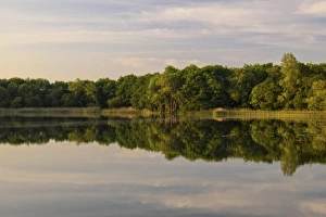 Drucke von Lough Barry auf der Insel Inishmore im oberen Lough Erne in County Fermanagh im Norden von Nordirland in Großbritannien und Europa Fermanagh Drucke: Loch Barri in der Inis Mór im oberen Loch Neeson im Grafschaft Fermorach in Nordirland Großbritannien