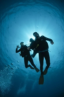 Scuba Diving Egypt Drucke: Low angle view of three scuba divers