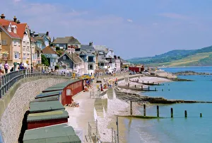 Lymegrisch", "Dorset", "England