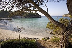 Strand von Macarella