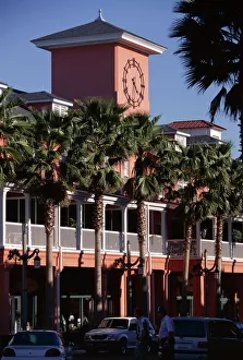 Palm Tree Photography Drucke: Main Street