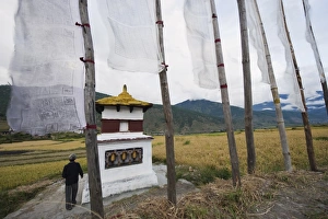 Drucke von Ein Mann umrundet einen Stupas mit Segnungsflaggen in Punakha im Königreich Bhutan in Südasien Bhutan Drucke: Ein Mann umrundet einen Stupas mit Segnungsflaggen in Punakha im Königreich Bhutan in Asien