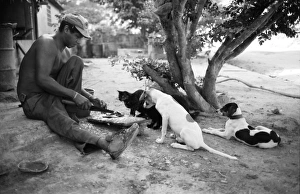 Drucke von Mann zubereitet Frühstück; von Hunden und einer Katze beobachtet wird. Medina (Venezuela), Südamerika Venezuela Drucke: Mann zubereitet Frühstück