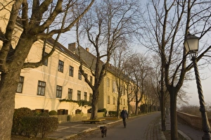 Man Walking Dog Drucke: Man walking his dog