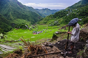 UNESCO World Heritage Site Philippines Drucke: Man working in the Batad rice terraces