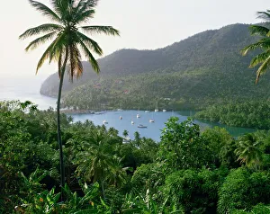 Windward Islands Travel Guide Drucke: Marigot Bay, St