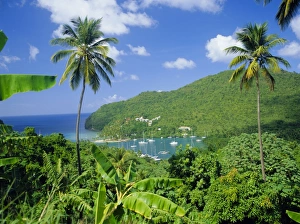 Lesser Antilles Travel Destination Drucke: Marigott Bay