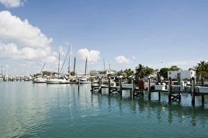 Florida Waterfront Scene Drucke: Marina, Key West