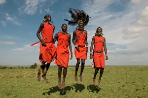 Drucke von Masi tanzt Kriegertanze in der Masai-Mara im kenianischen Afrika Kenia Drucke: Masi tanzt Kriegertanze in der Masaimara-Nationalpark Kenia Ostafrika Afrika
