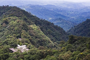 Ecuador Rainforest Drucke: Mashpi Lodge, Choco Cloud Forest, a rainforest in the Pichincha Province of Ecuador