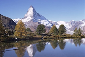 Matterhorn Lake Reflection Drucke: The Matterhorn reflected in Grindjilake