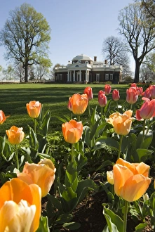 Thomas Jefferson House Drucke: mcs0131