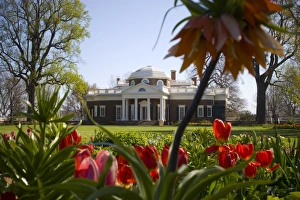 Virginia Travel Destinations Drucke: mcs0132