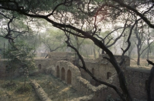 India Tourist Attractions Drucke: The Mehrauli Archaeological Park
