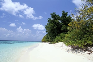 Maldives Island Getaway Drucke: Mendu Island