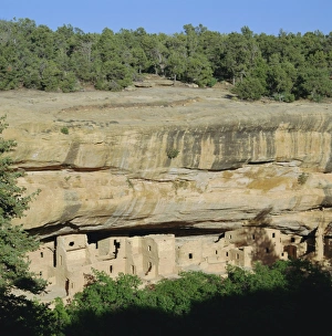 Colorado Travel Destinations Drucke: Mera Verde