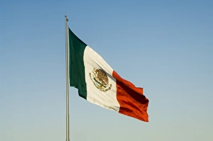 Mexican Flag Drucke: Mexican flag