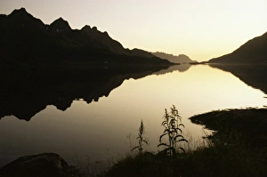 Scenic Norwegian Landscapes Drucke: Midnight sun and calm reflections