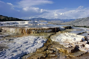 Yellowstone Scenic Views Drucke: Minerva Terrace