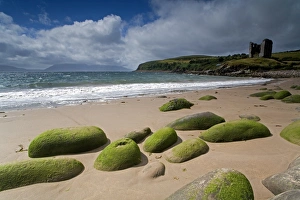 Irish Coastline Drucke: Minnard Beach