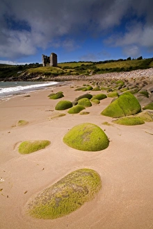 Europe Coastal Scenes Drucke: Minnard Beach, Dingle, County Kerry, Munster, Republic of Ireland, Europe