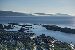 England Coastal Scenery Drucke: Mist rolling from the hills at dawn, Looe, Cornwall, England, United Kingdom, Europe