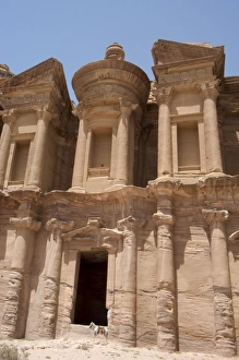 Petra Monastery Drucke: The Monastery and donkey