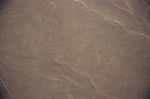 UNESCO World Heritage Site Peru Drucke: Monkey, Nazca (Nasca) Lines