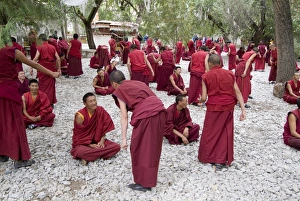 China Cultural Heritage Sites Drucke: Monks learning session, with masters and students, Sera Monastery, Tibet, China, Asia