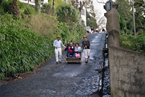 Contemporary Travel Destination Drucke: Monte, Madeira
