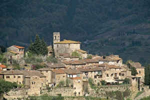 Tuscany Wine Country Drucke: Montefiorale