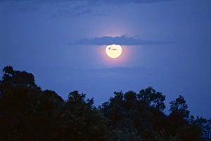 East Africa Landscape Drucke: Moon, Kenya