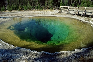 Natural Wonders USA Drucke: Morning Glory spring