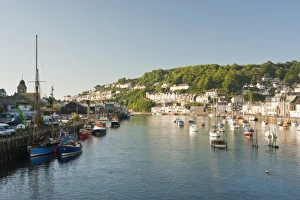 Morgens Licht am Fluss Looe bei Looe im Kornwall, England, Großbritannien, Europa