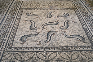 Volubilis UNESCO Site Drucke: Mosaic floor