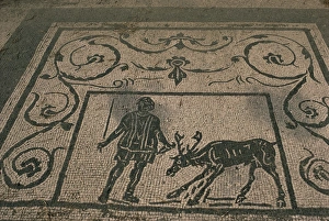 Ostia Antica Archaeological Site Drucke: Mosaic trade emblems