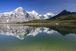 Grindelwald Landscape Photography Drucke: Mount Eiger reflected in clear waters of a lake, Mannlichen, Grindelwald, Bernese Oberland
