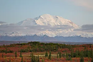 Denali National Park Drucke: Mount McKinley (Mount Denali) at sunset in the fall, Denali National Park and Preserve