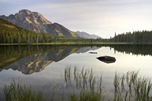 Rural Mountain Landscape Drucke: Mount Moran reflected in String Lake