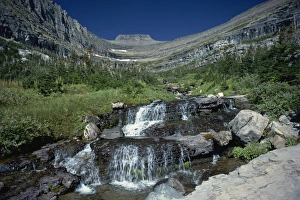 North American Mountain Landscapes Drucke: Mountain stream beside Going to the Sun road, near Logan Pass, Glacier National Park